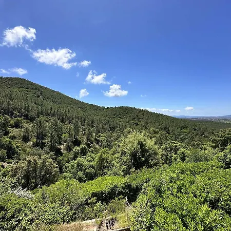 Blanche Pour 8 Personnes Avec Piscine Privee A La Londes-les-maures Villa